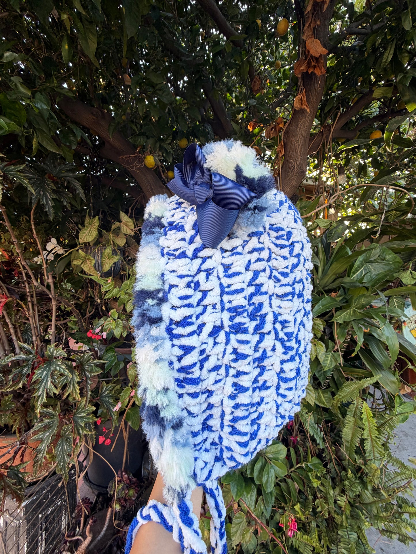 Snowy Blueberry