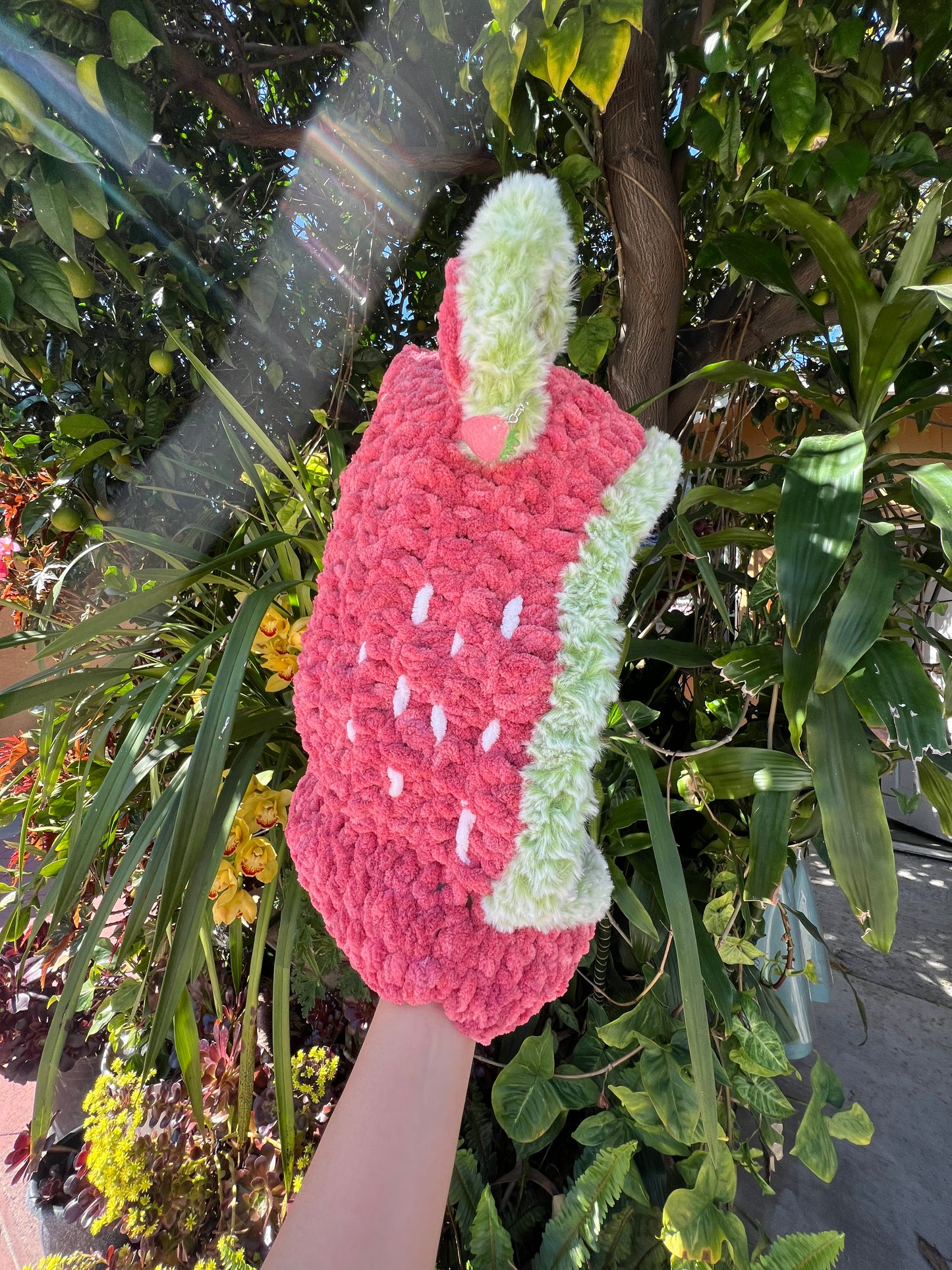 Berry Bear