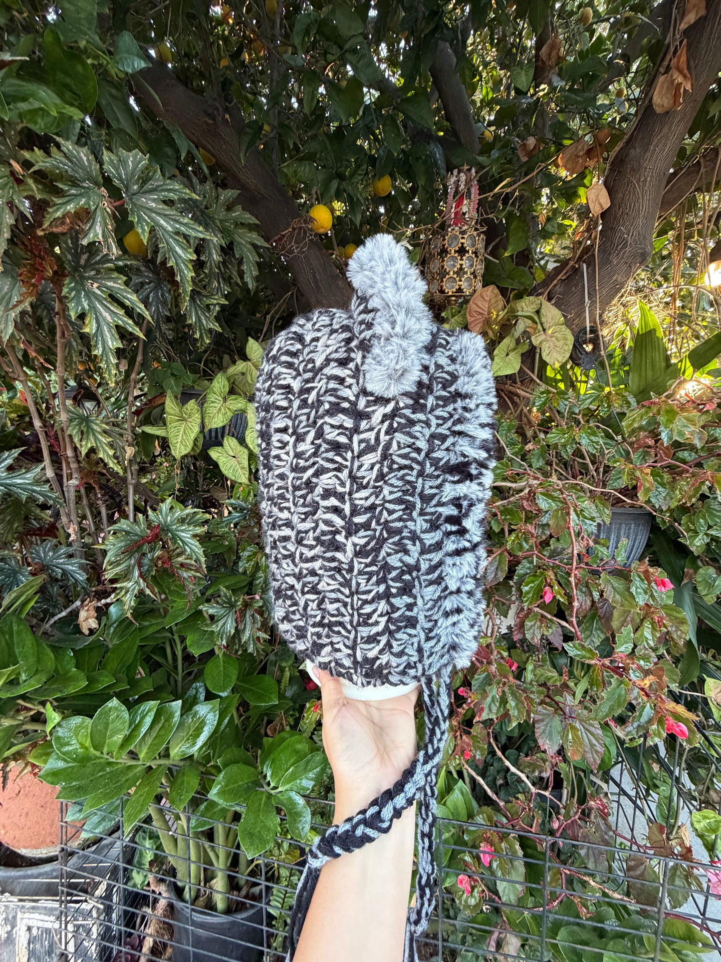 Arctic Howl