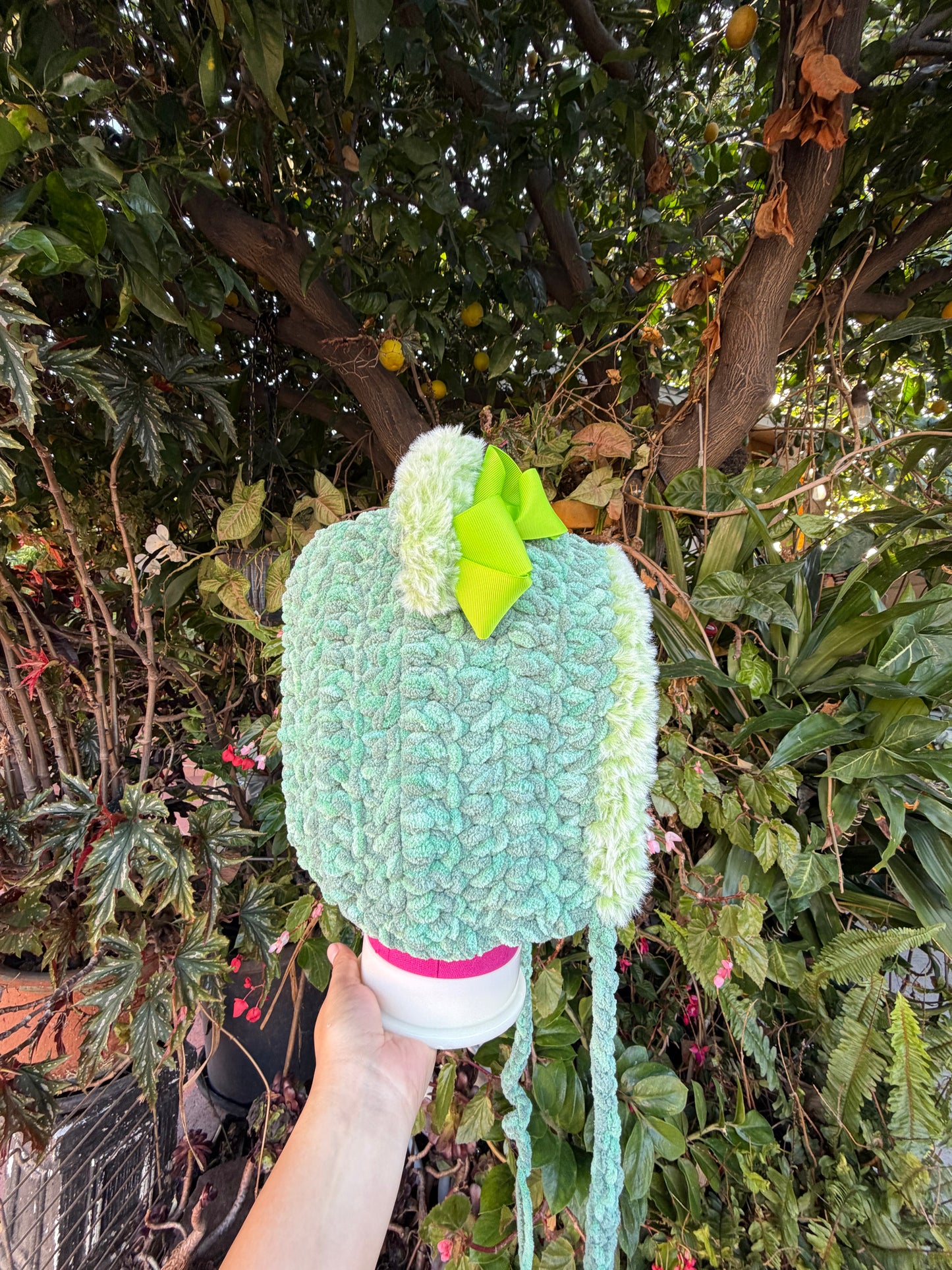 Spring Sprout