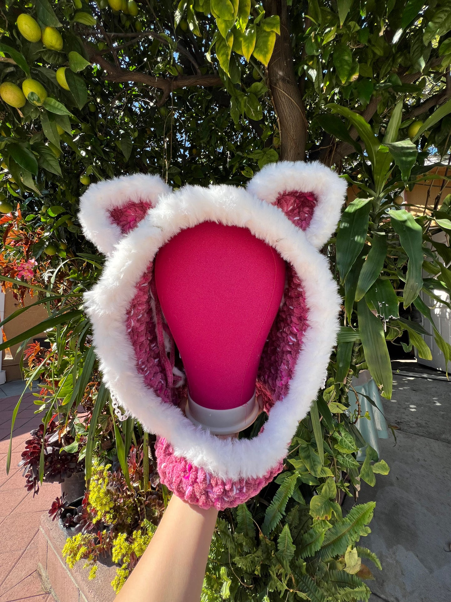Blush kitty