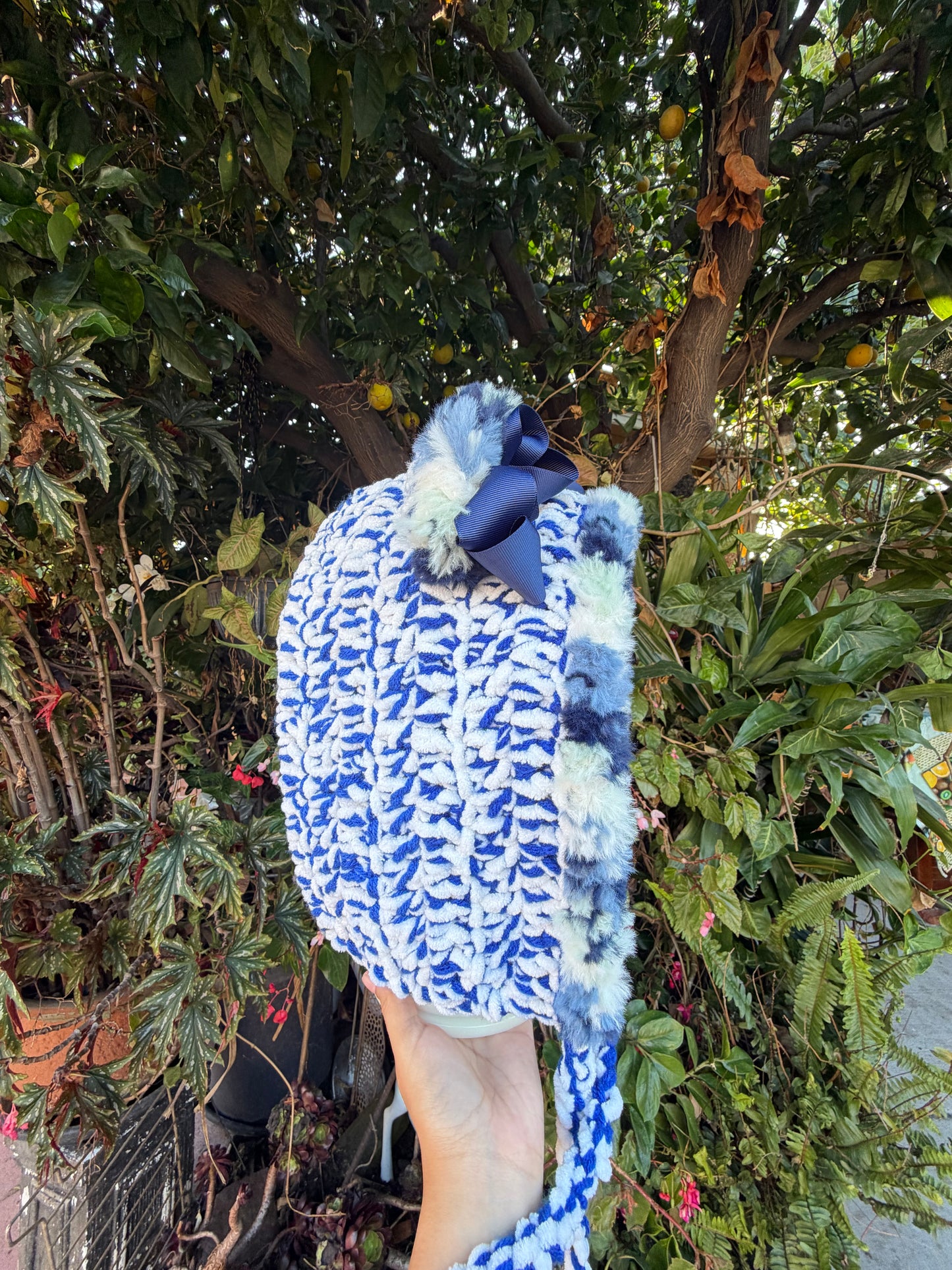 Snowy Blueberry