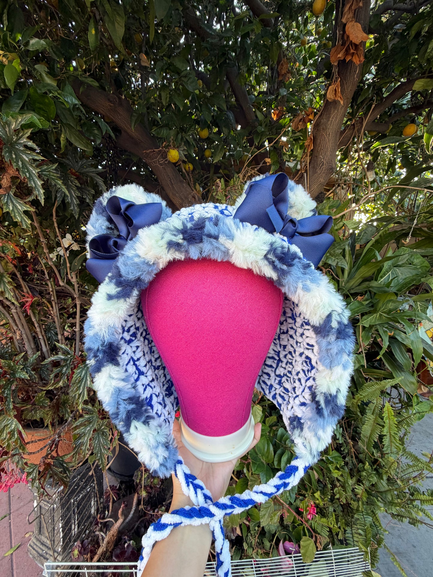 Snowy Blueberry