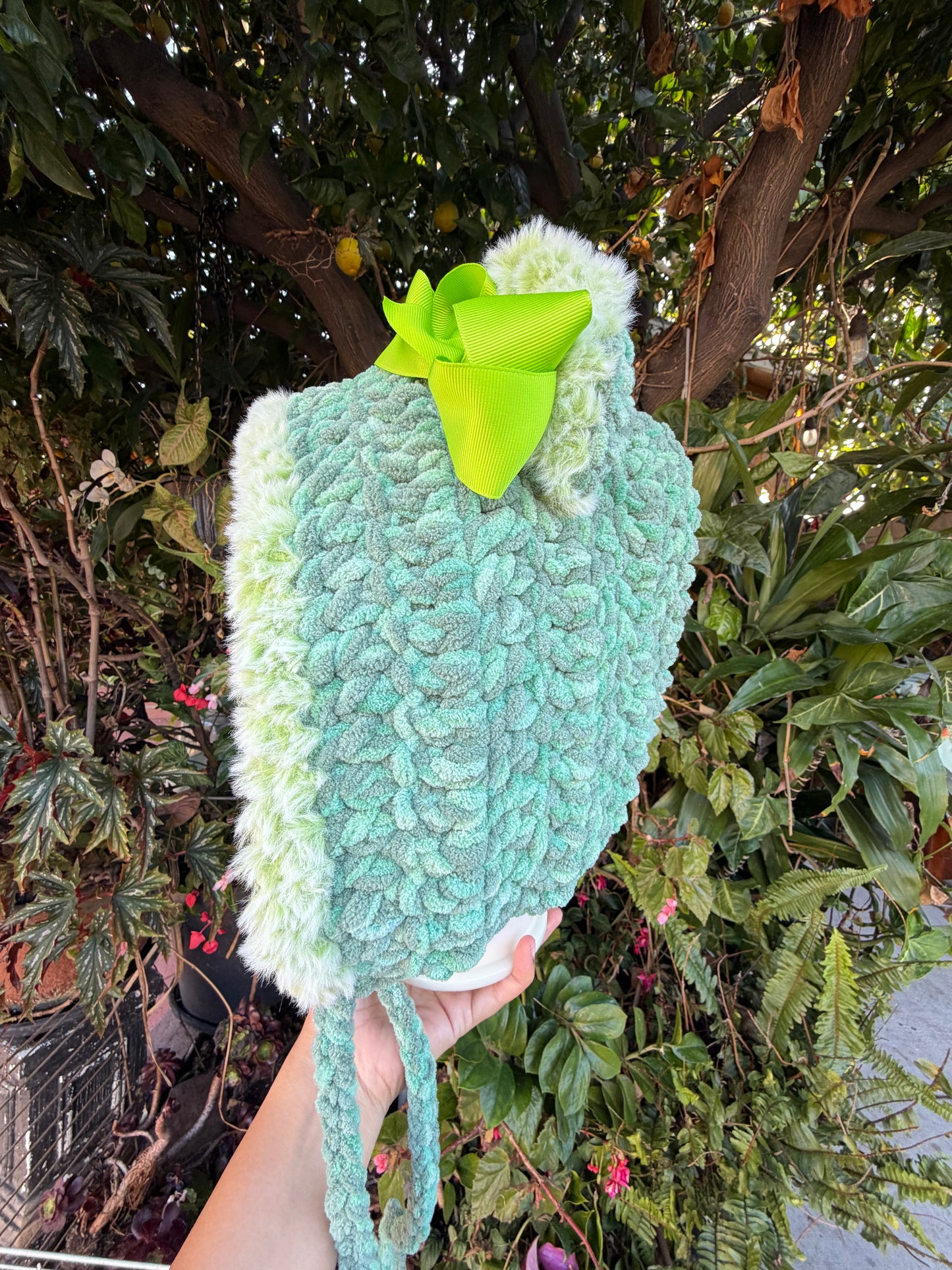 Spring Sprout